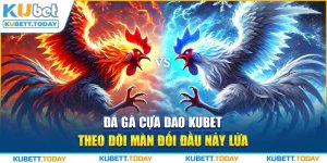 Đá Gà Cựa Dao KUBET - Theo Dõi Màn Đối Đầu Nảy Lửa