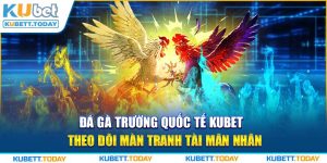 Đá Gà Trường Quốc Tế KUBET - Theo Dõi Màn Tranh Tài Mãn Nhãn