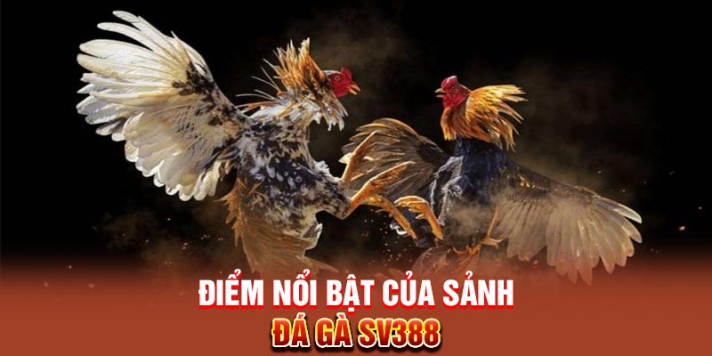 Điểm nổi bật chỉ có tại sảnh đá gà SV388