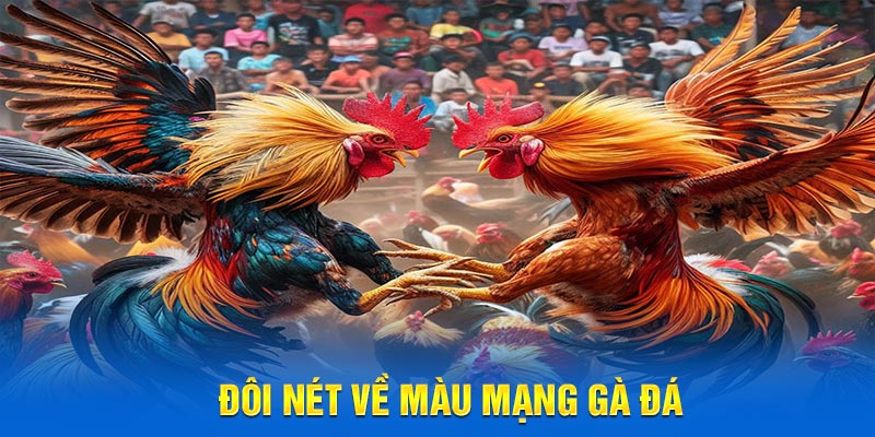 Đôi nét về màu mạng gà đá