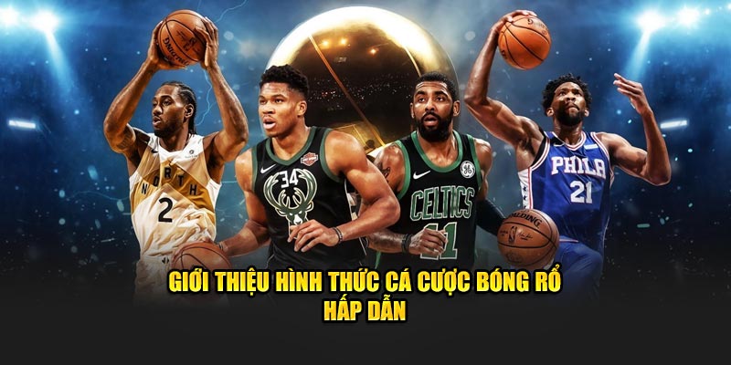 Giới thiệu hình thức cá cược bóng rổ hấp dẫn