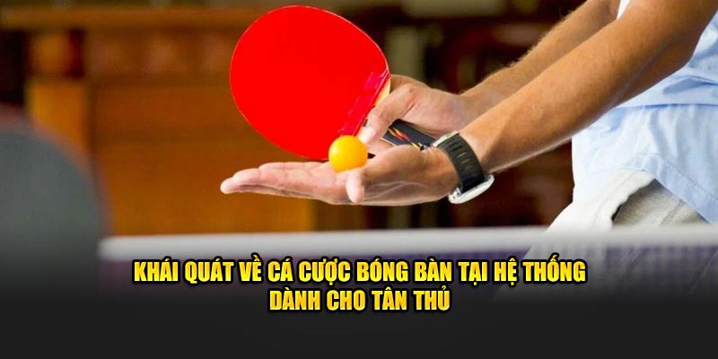 Khái quát về cá cược bóng bàn tại hệ thống dành cho tân thủ