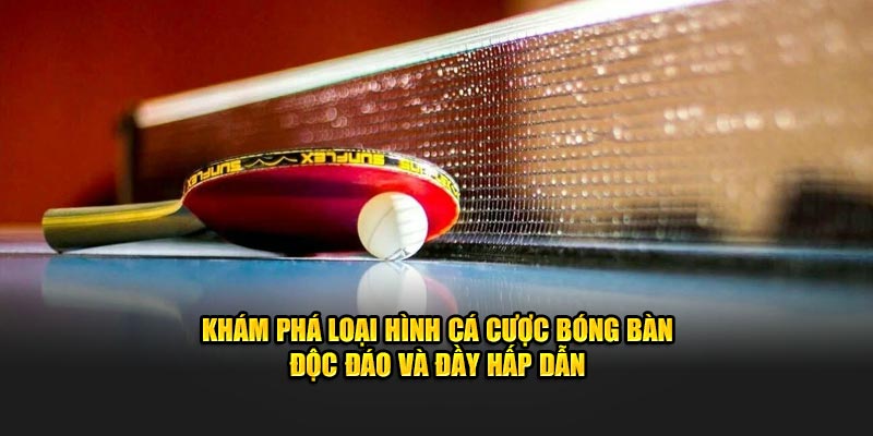 Khám phá loại hình cá cược bóng bàn độc đáo và đầy hấp dẫn