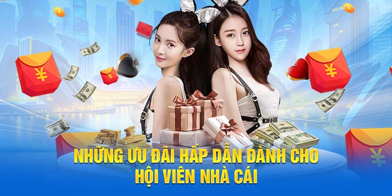 Những ưu đãi hấp dẫn dành cho hội viên nhà cái