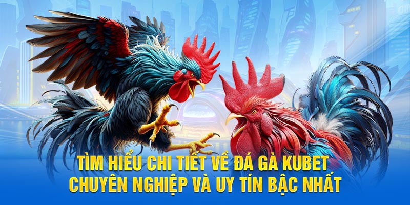 Tìm hiểu chi tiết về đá gà KUBET chuyên nghiệp và uy tín bậc nhất