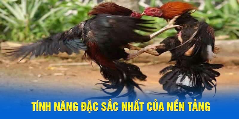 Tính năng đặc sắc nhất của nền tảng