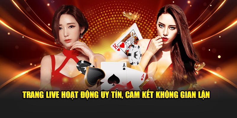 Trang live hoạt động uy tín, cam kết không gian lận