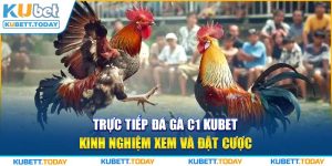 Trực Tiếp Đá Gà C1 KUBET - Kinh Nghiệm Xem Và Đặt Cược